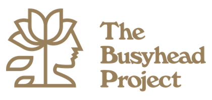 The Busyhead Project